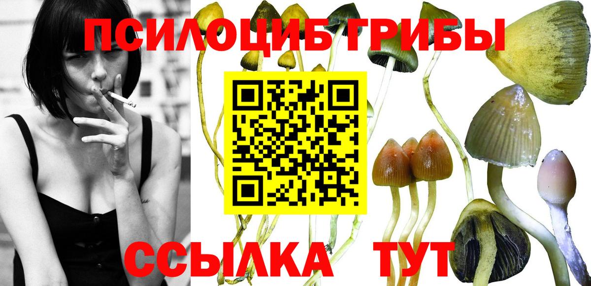 Галлюциногенные грибы Psilocybine cubensis  Галлюциногенные грибы мицелий  Елизово  Вход с VPN 